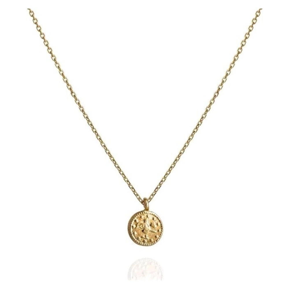Medallion Choker, Gold Plated Tiny Coin Charm Necklace, Length 15 -Annika Bella